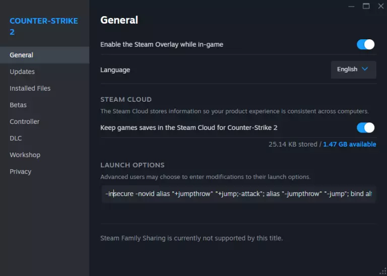 fix VAC lag in CS2 using -insecure launch option