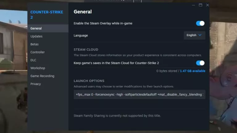 How to add CS2 launch options input menu