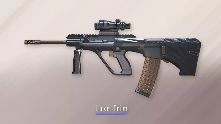 Gallery case skins AUG