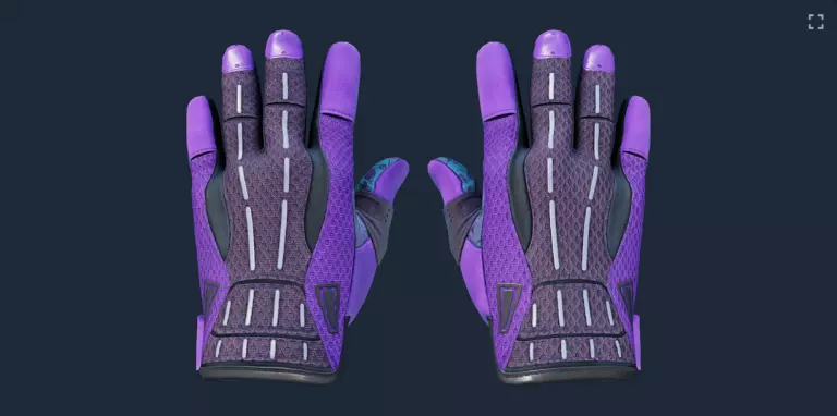The most expensive gloves in CS2: Pandora's Box Sport Gloves.