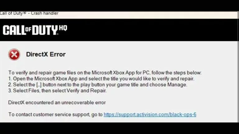 Black Ops 6 DirectX error