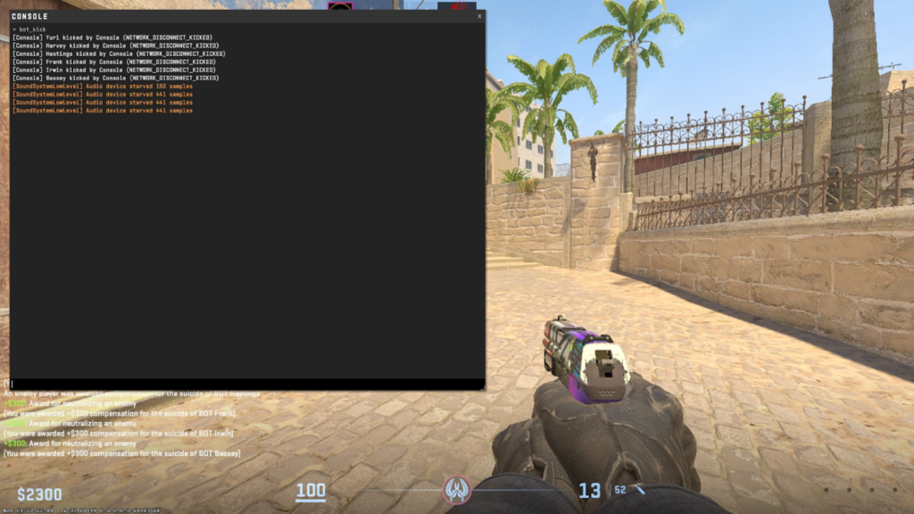 CS2 development console for removing bots.
