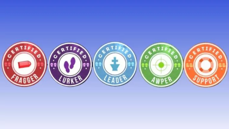 CS2 main team roles.