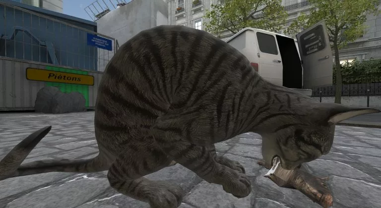 CS2 cat eating a rat on Palais