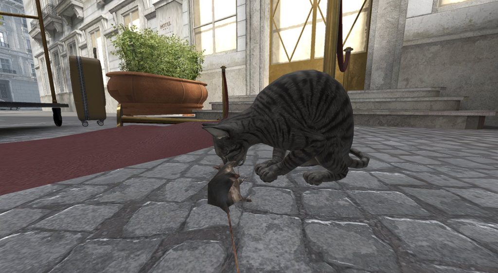 There’s a new cat in CS2, here’s how to find it