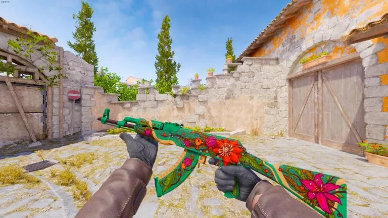 cs2 gun animation