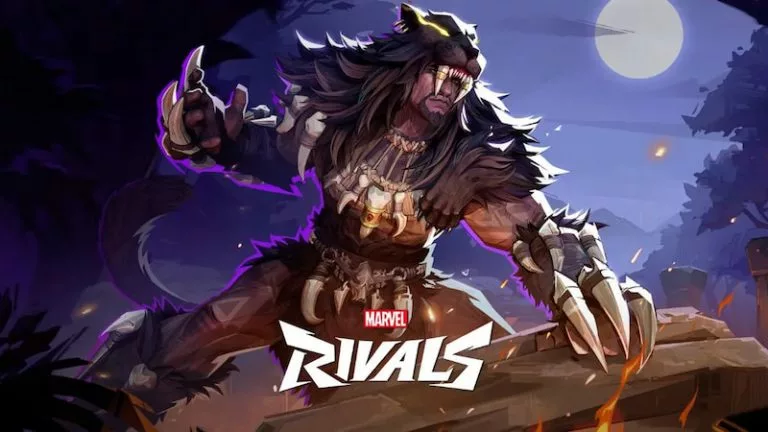 Black Panther - Duelist Hero marvel rivals Counters