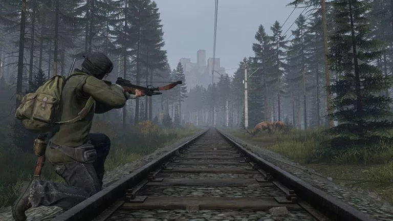 Day Z, arma mod