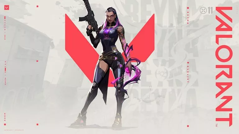 duelist valorant role banner