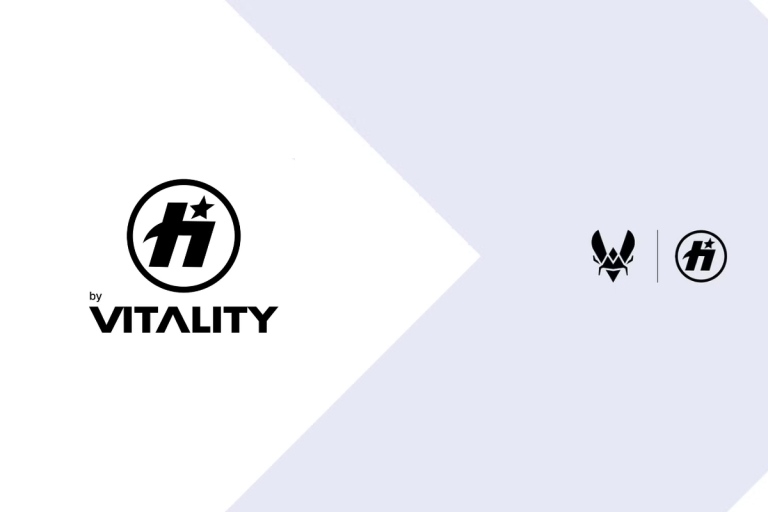 Team havok teams up with team vitality