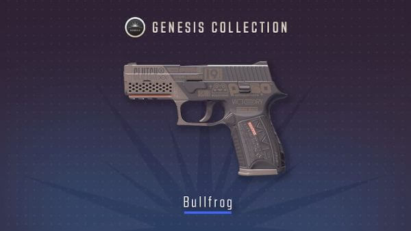 P250 | Bullfrog. Credit: © Valve