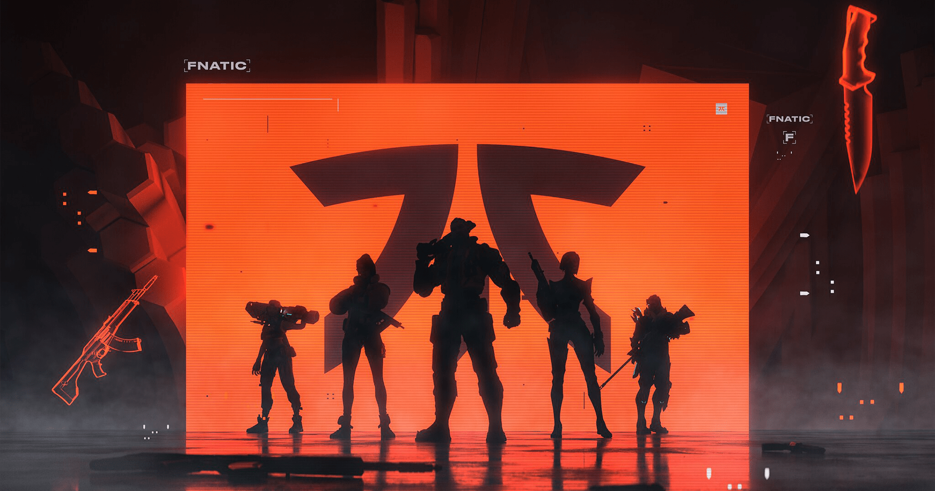Fnatic team art