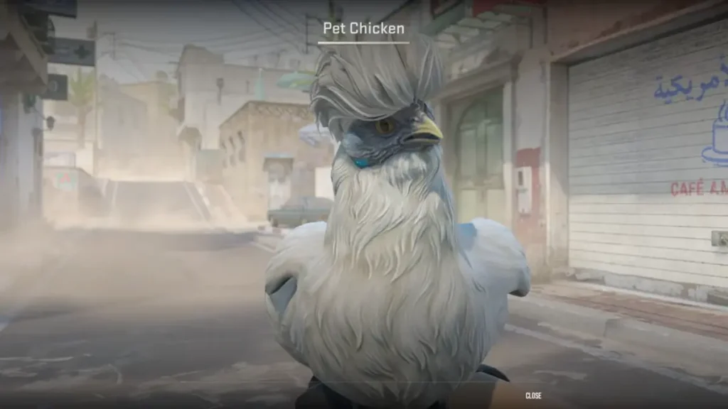 All you need to know about Chicken pets in CS2