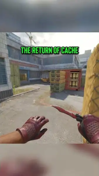 CACHE IS BACK 😍